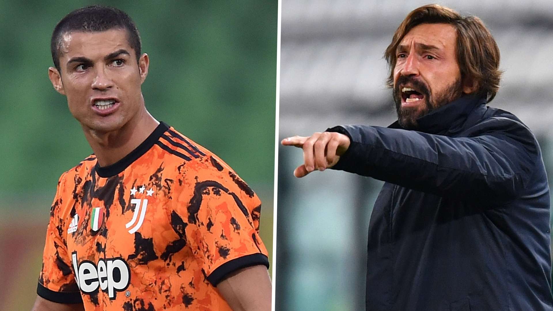 可以预见 可以预见