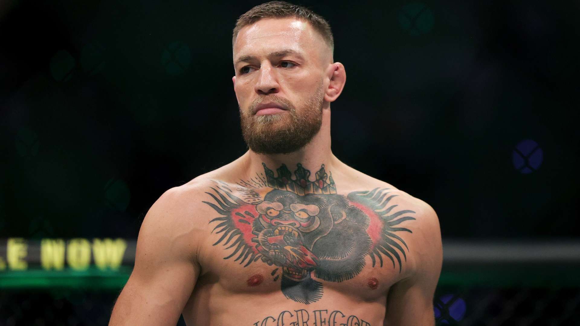 但始终在社 但始终在社