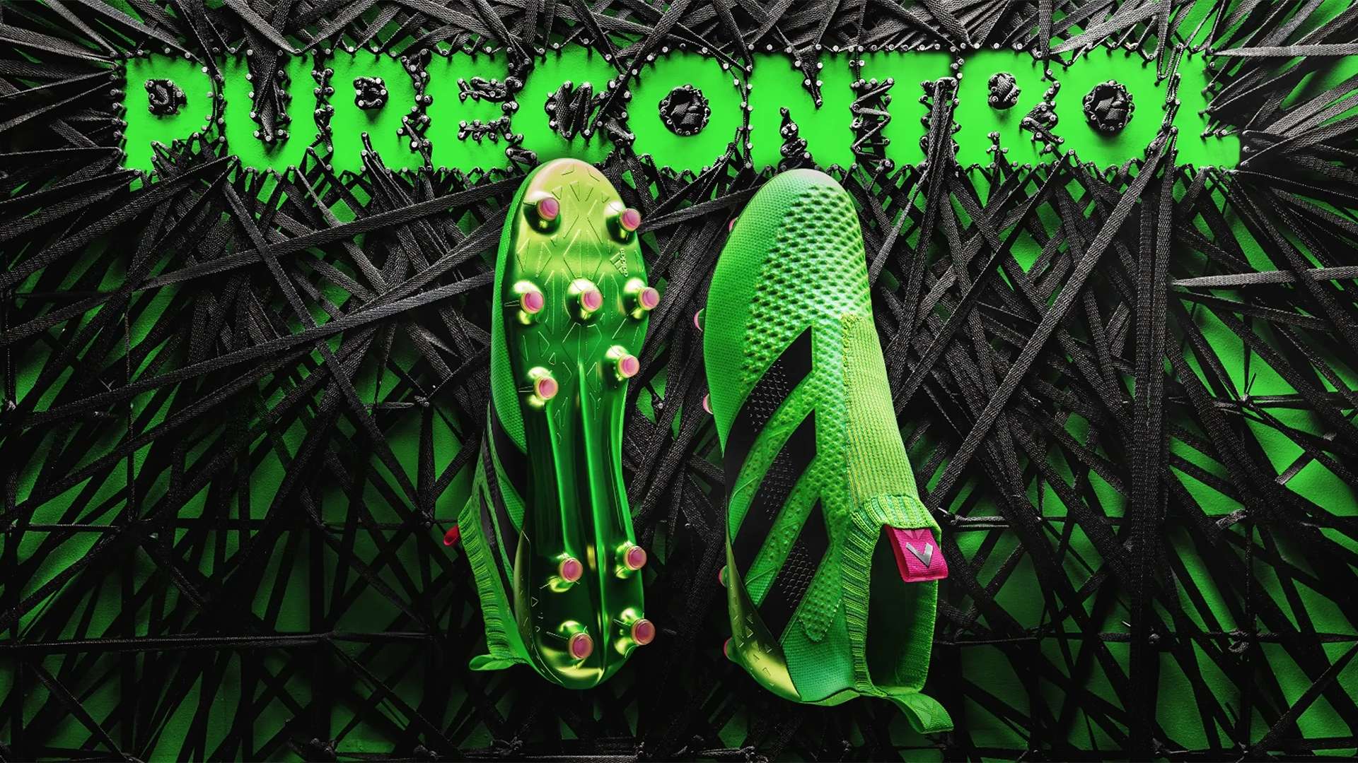 到了中国田 到了中国田